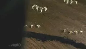 8 серия
